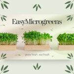 5 Reasons to Choose Organic Microgreens for Your Diet.